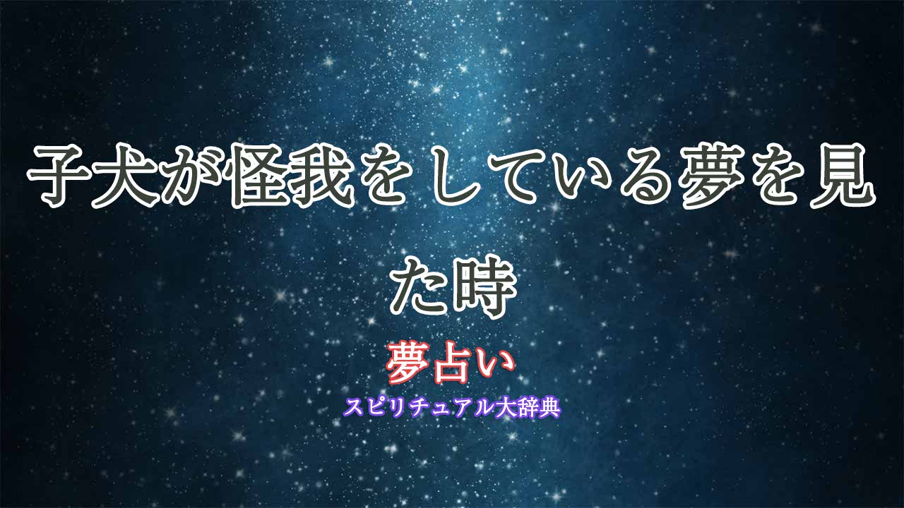 夢占い-子犬-怪我