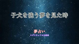 夢占い-子犬-洗う
