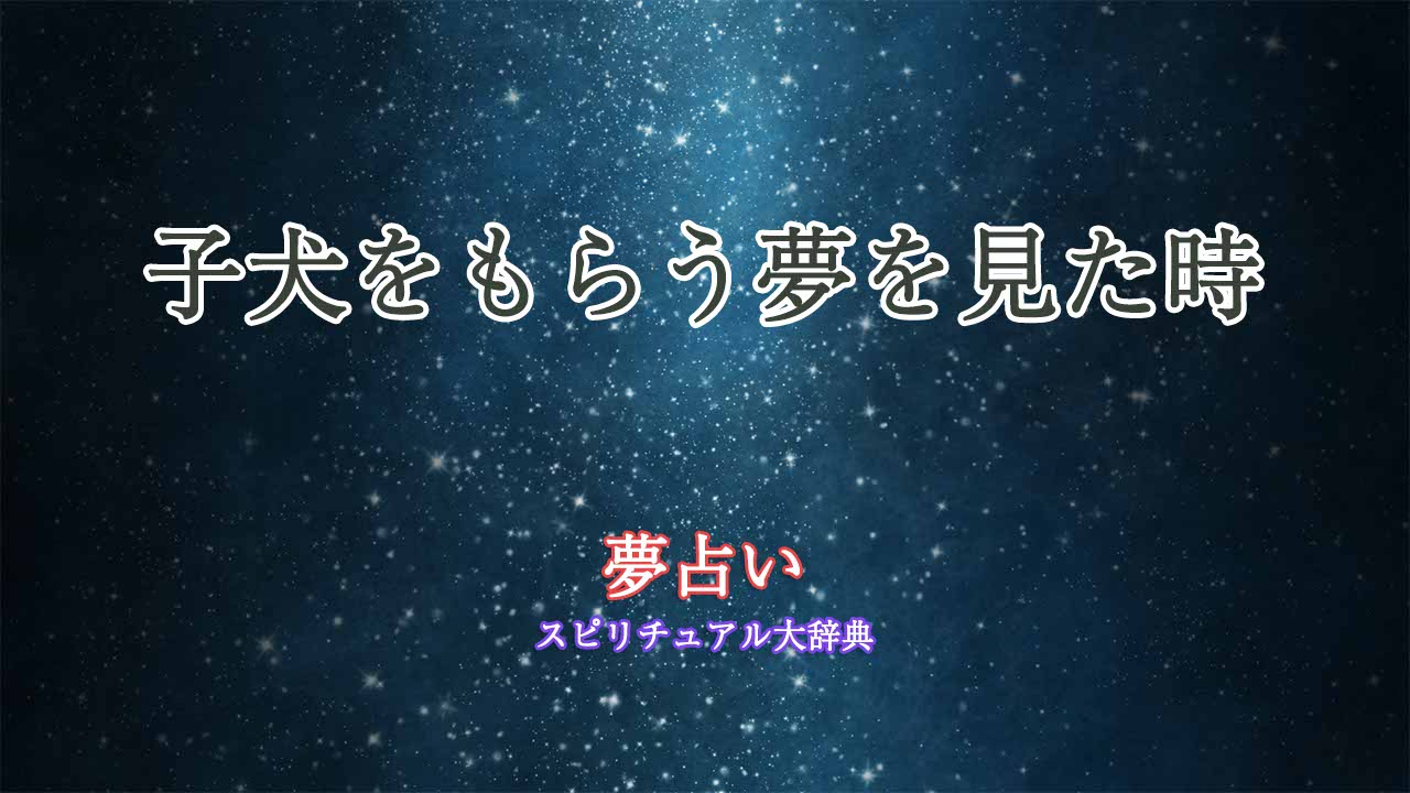 夢占い-子犬もらう