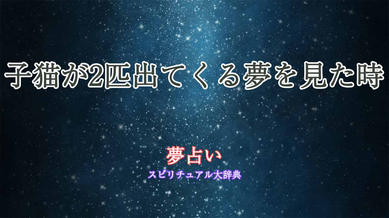 夢占い-子猫-2匹