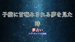 夢占い-子猫-甘噛み