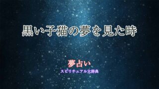 夢占い-子猫-黒