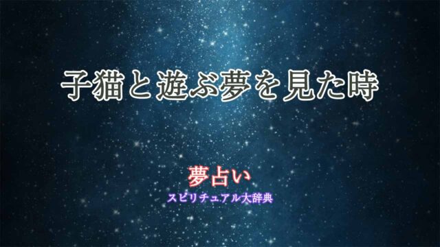 夢占い-子猫と遊ぶ