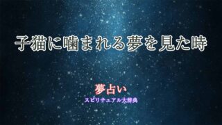 夢占い-子猫に噛まれる