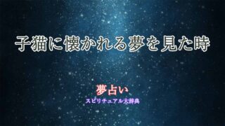 夢占い-子猫に懐かれる