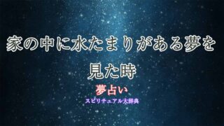 夢占い-家-水たまり