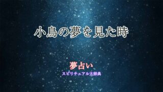 夢占い-小鳥-ふん
