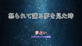 夢占い-怒られて謝る