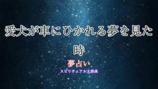 夢占い-愛犬-車にひかれる