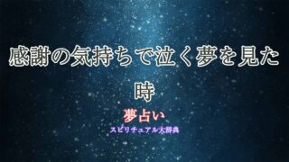 夢占い-感謝-泣く