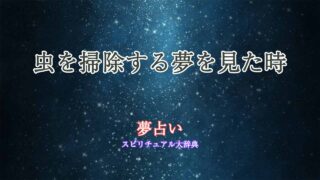 夢占い-掃除-虫