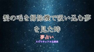 夢占い-掃除機-髪の毛
