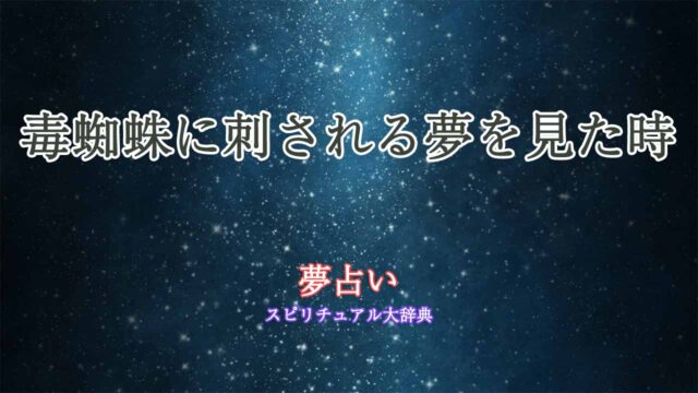 夢占い-毒蜘蛛に刺される