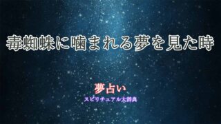 夢占い-毒蜘蛛に噛まれる