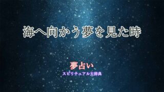 夢占い-海へ向かう