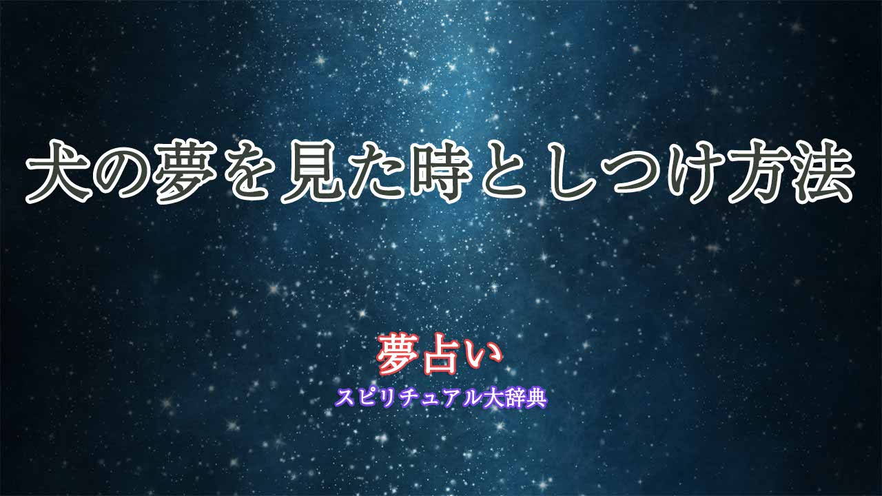 夢占い-犬-しつけ