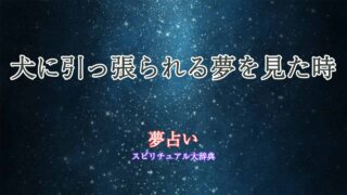夢占い-犬-引っ張られる