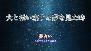 夢占い-犬-添い寝