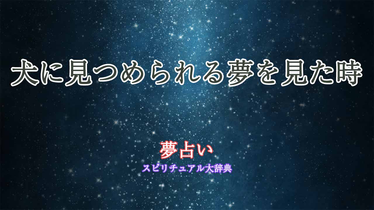 夢占い-犬-見つめられる