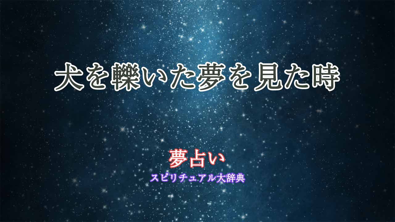 夢占い-犬-轢く