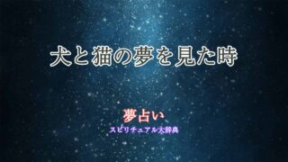 夢占い-犬と猫