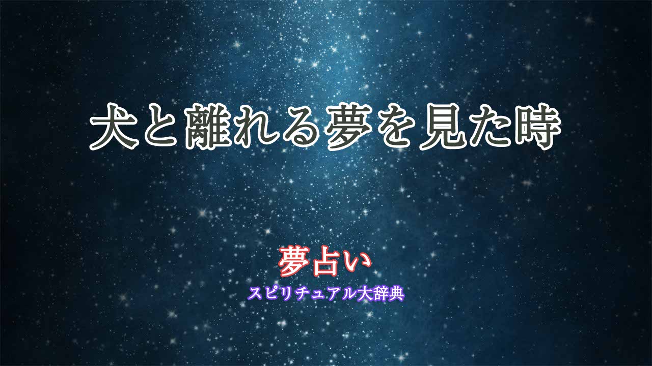 夢占い-犬と離れる