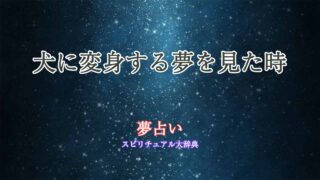 夢占い-犬に変身