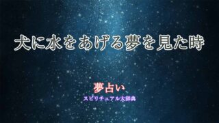 夢占い-犬に水をあげる