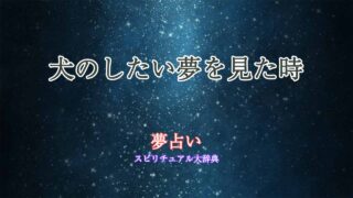夢占い-犬のしたい