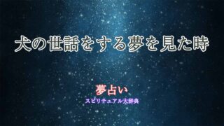 夢占い-犬の世話