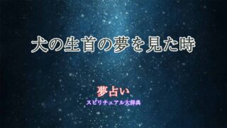 夢占い-犬の生首