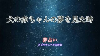夢占い-犬の赤ちゃん