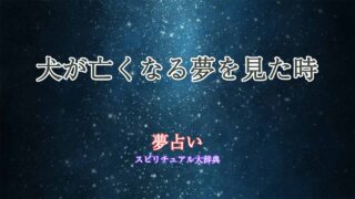 夢占い-犬亡くなる