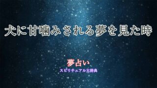 夢占い-犬甘噛み