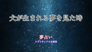 夢占い-犬生まれる