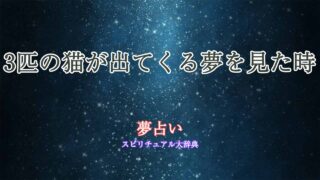 夢占い-猫-3匹