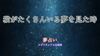 夢占い-猫-いっぱい