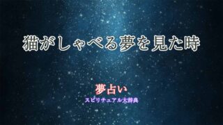 夢占い-猫-しゃべる