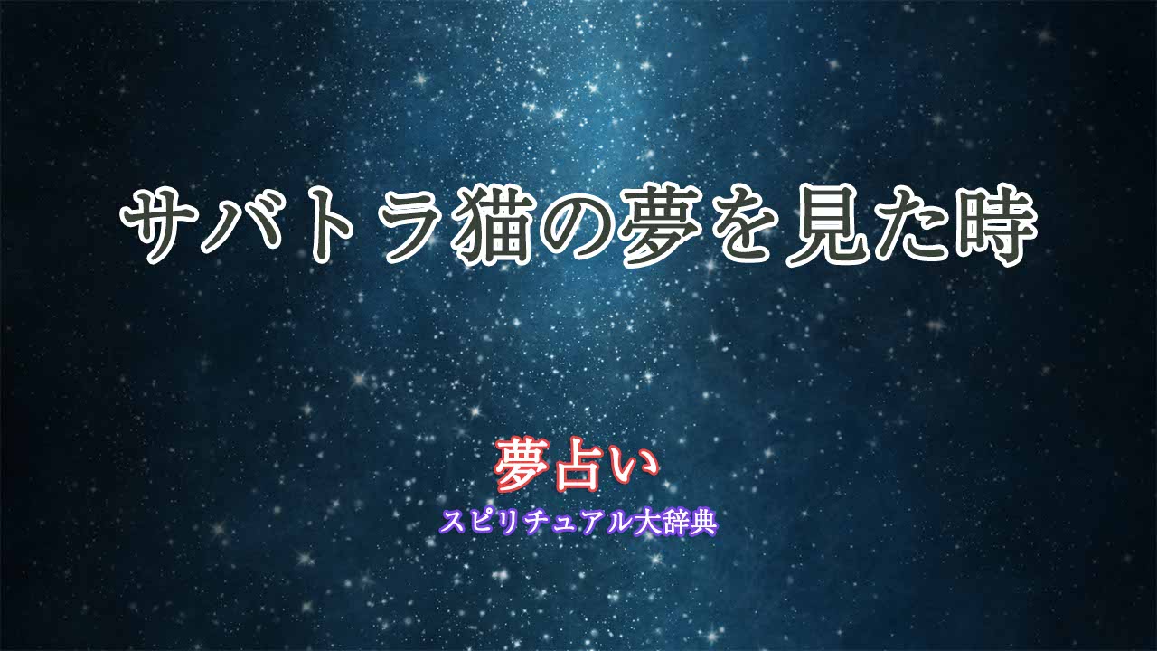 夢占い-猫-サバトラ