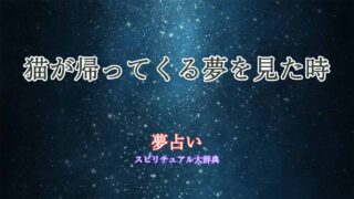 夢占い-猫-帰ってくる