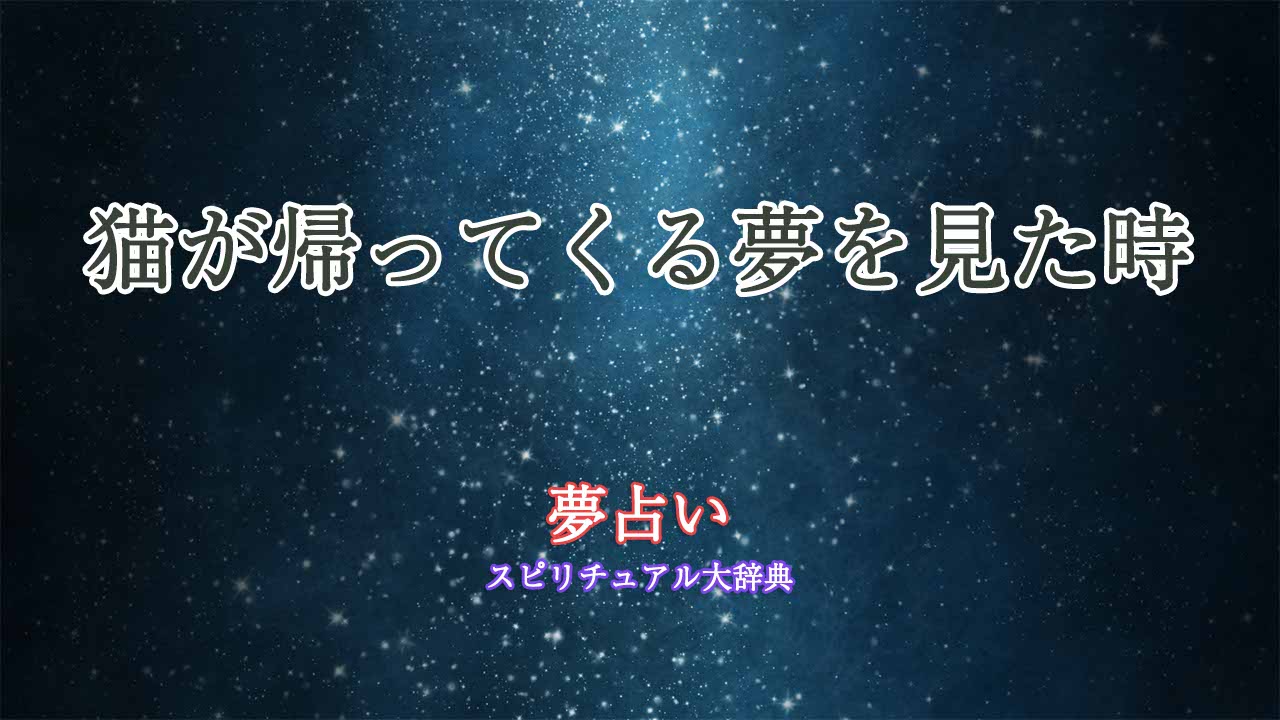 夢占い-猫-帰ってくる