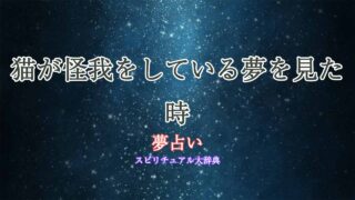 夢占い-猫-怪我-助ける