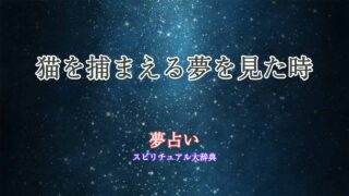 夢占い-猫-捕まえる