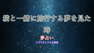 夢占い-猫-旅行