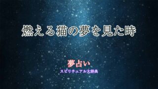 夢占い-猫-燃える