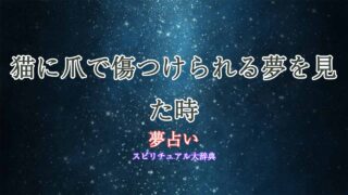 夢占い-猫-爪