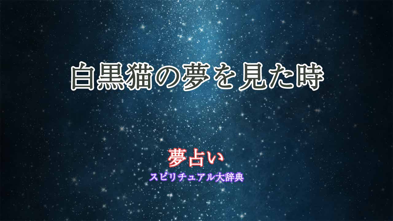 夢占い-猫-白黒