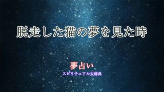 夢占い-猫-脱走