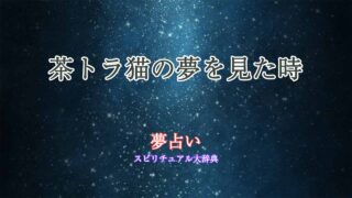 夢占い-猫-茶トラ-なつく