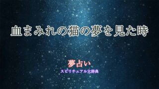 夢占い-猫-血まみれ
